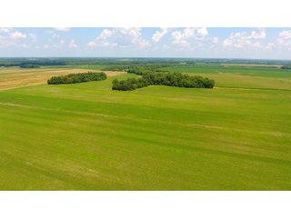 Property photo 7 - FARMLAND AUCTION - 240+/- ACRES IN 3 TRACTS IN JEFFERSON COUNTY, ILLINOIS